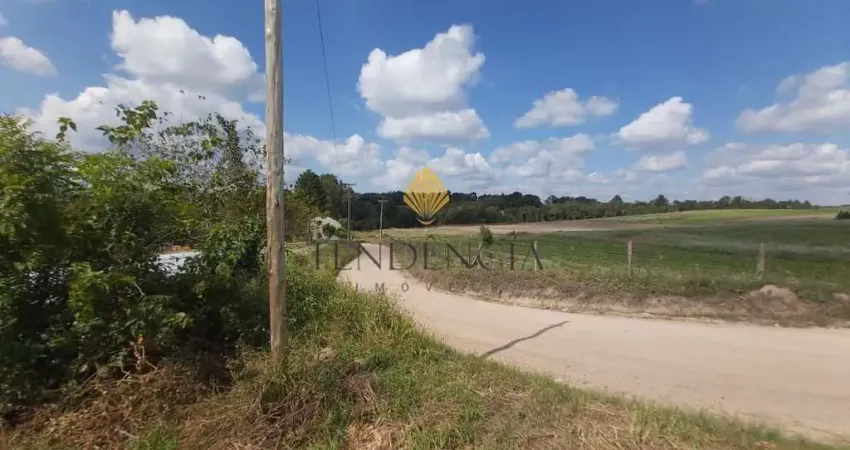 Chácara com 4 quartos à venda, 63.708 m2 por R  1.498.000 - Contenda - São José dos Pinhais PR