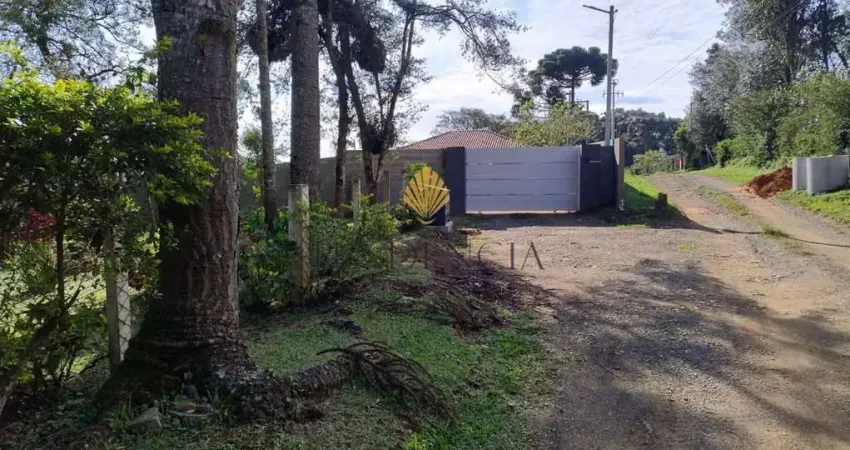 Chácara à venda, 2.750 m2 por R  749.000,00 - Lagoinha - Tijucas do Sul PR