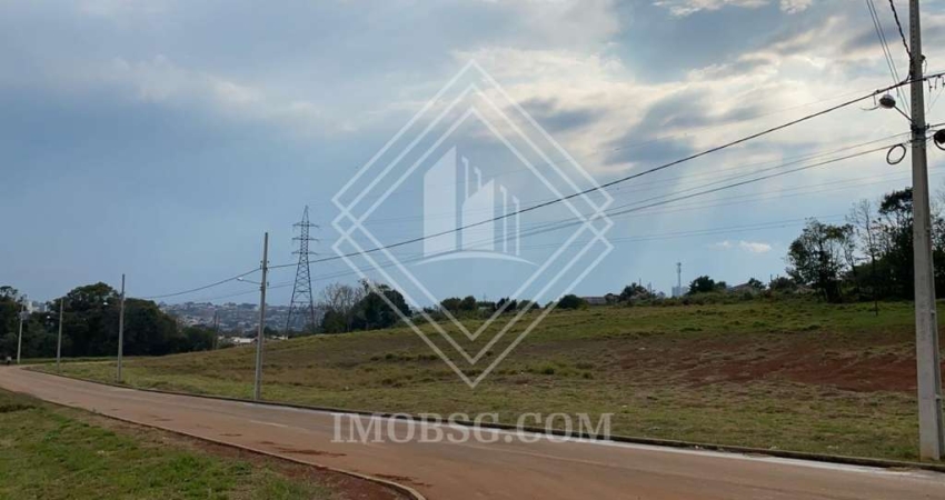 Terreno à venda na Rua Vereador Paulo Lirani, S/N, Uvaranas, Ponta Grossa