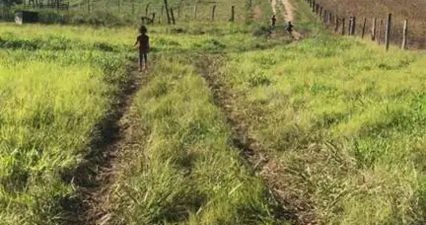 Chácara / sítio à venda no Centro, Ivaí 