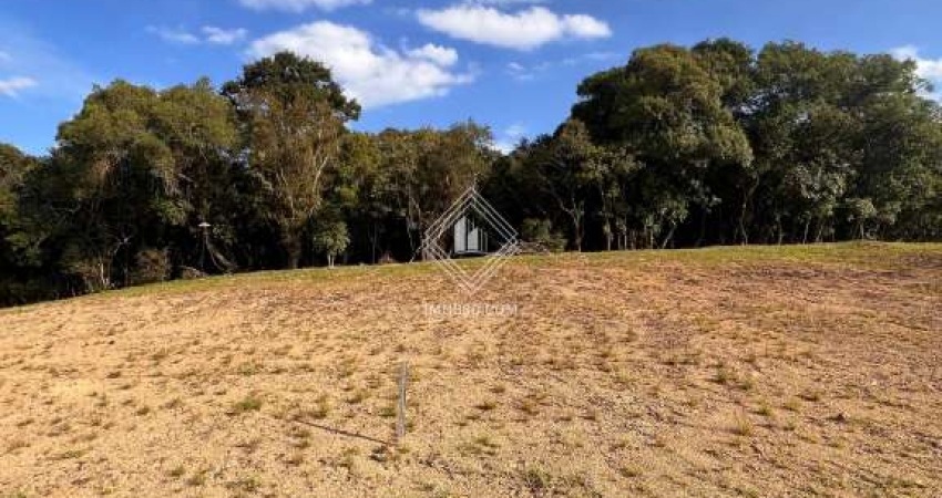 Terreno em condomínio fechado à venda na Avenida Monteiro Lobato, 5000, Jardim Carvalho, Ponta Grossa