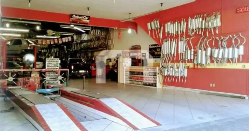 Casa para alugar na Avenida Maria Cursi, 610, São Mateus, São Paulo