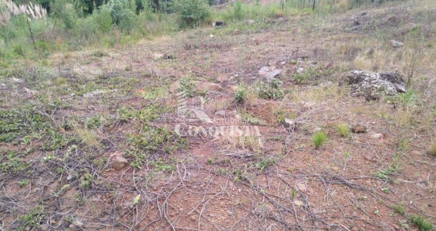 Terreno à venda na L, 4, Centro, Flores da Cunha