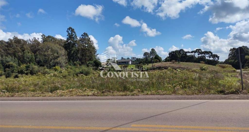 Terreno à venda na Vicinal Mato Perso, Forqueta, Caxias do Sul