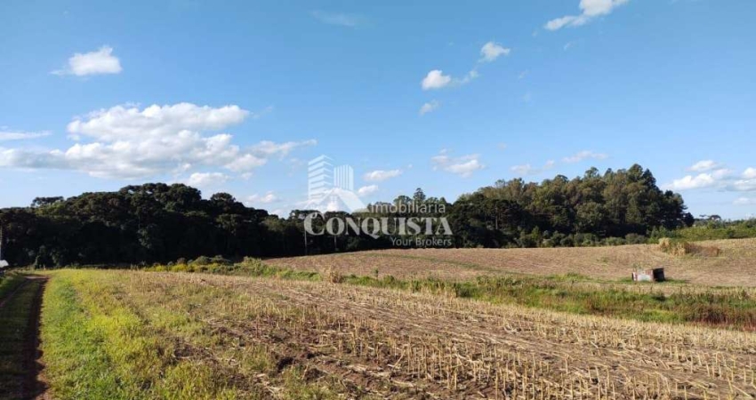 Terreno à venda na 1° Distrito de Farroupilha, Linha Palmeiro, Farroupilha