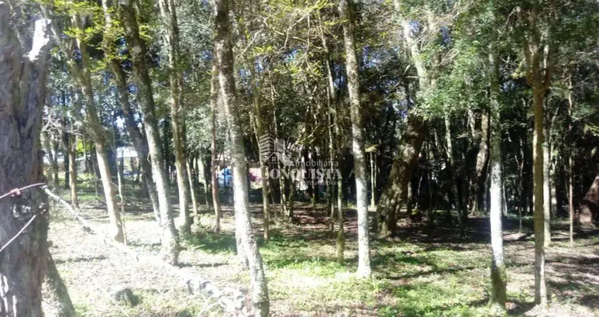 Chácara / sítio à venda na Vila Seca, 1010, Vila Seca, Caxias do Sul
