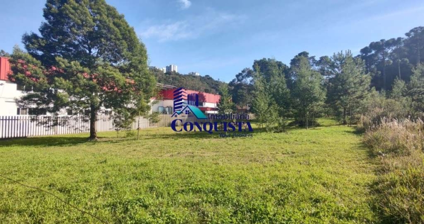 Terreno à venda na Avenida Padre Raul Accorsi, Zorzi, Caxias do Sul