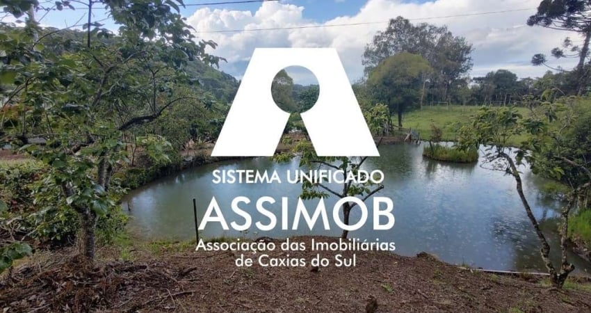 Chácara / sítio com 7 quartos à venda na Rota do Sol, 1, Fazenda Souza, Caxias do Sul