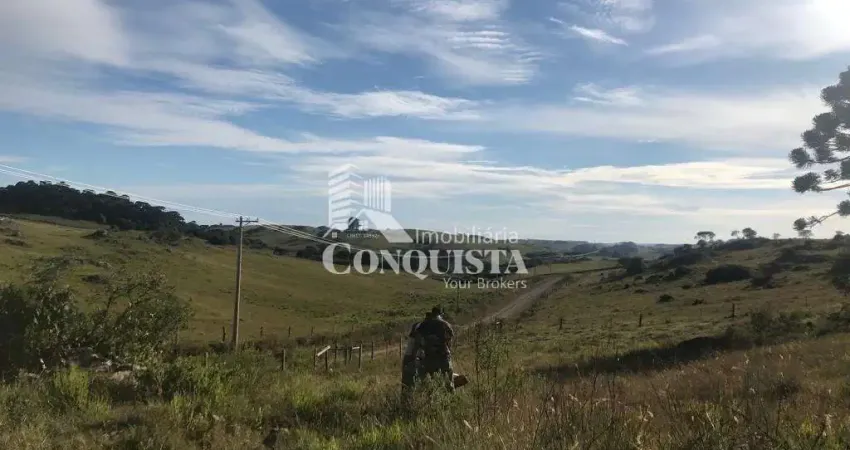 Chácara / sítio à venda na Felisberto Castilhos dos Reis, 101, Criúva, Caxias do Sul