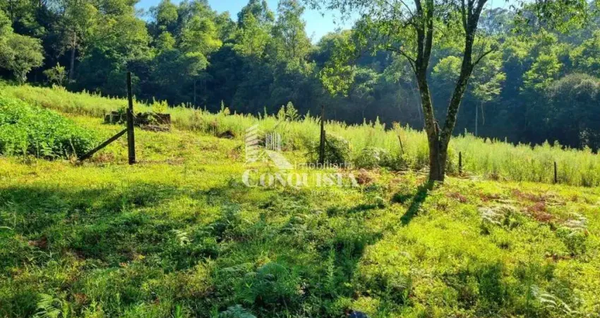Chácara / sítio à venda na Travessa Santa Rita, 02, São Pedro da Terceira Légua, Caxias do Sul