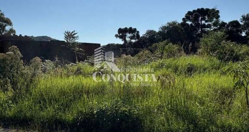 Terreno à venda na Leocadio Pistorello, 1075, São Luiz, Caxias do Sul