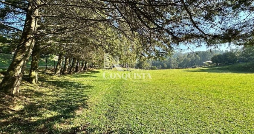 Chácara / sítio com 3 quartos à venda na Rota do Sol, 46, Fazenda Souza, Caxias do Sul
