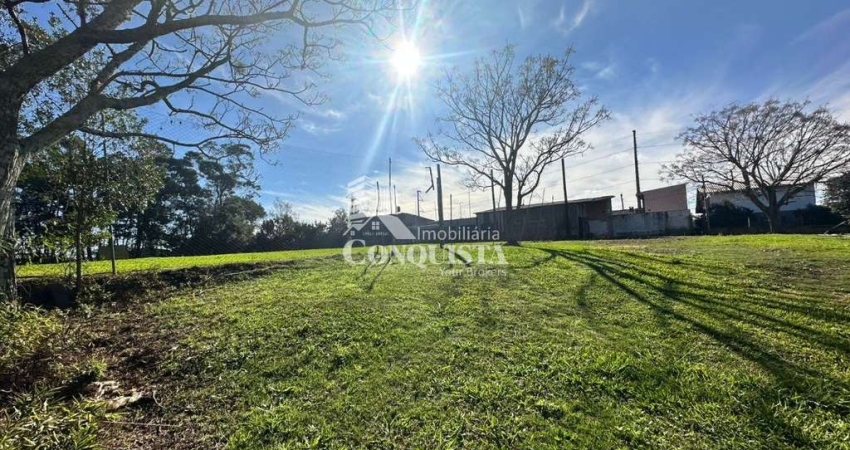 Terreno comercial para alugar na Rua Barão Das Amazonas, Treviso, Caxias do Sul