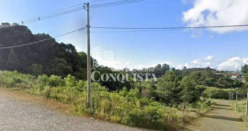 Terreno à venda na Victorio Paloscki Esquina Com Joao Viel, Desvio Rizzo, Caxias do Sul