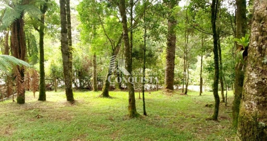 Terreno à venda na Frente Rs 020 e Rua Bracatinga, Colinas, São Francisco de Paula
