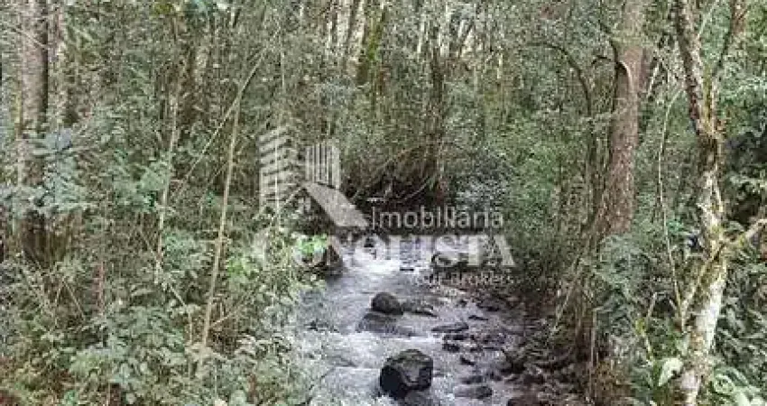 Chácara / sítio à venda na do Cemiterio, 110, Desvio Rizzo, Caxias do Sul