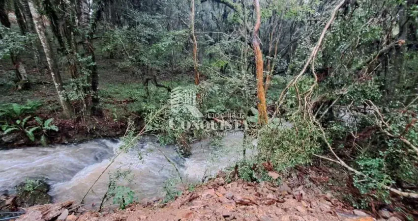 Chácara / sítio à venda na Rota do Sol, 117, Galópolis, Caxias do Sul