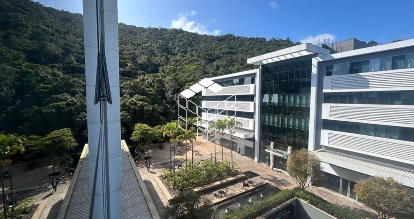 Sala comercial à venda na Rodovia José Carlos Daux, 5500, Saco Grande, Florianópolis