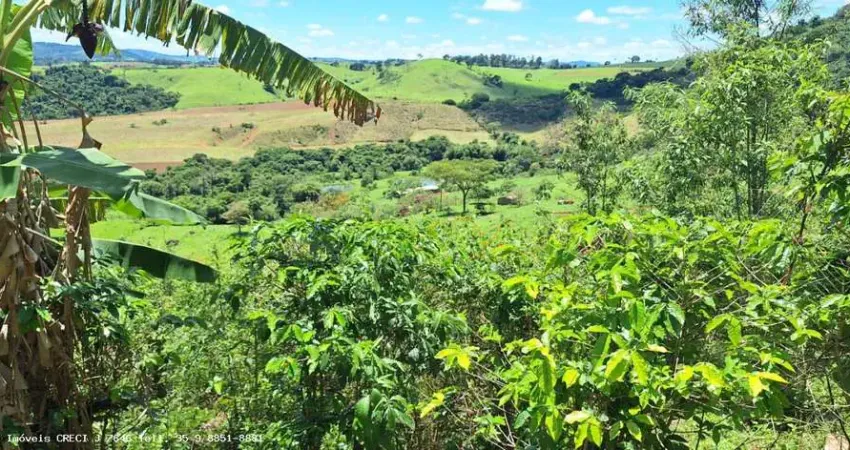 Sítio para Venda em Caldas, Santana de Caldas, 3 dormitórios, 2 banheiros, 1 vaga