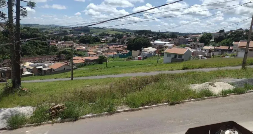 Terreno à venda na Zona Rural, Caldas 