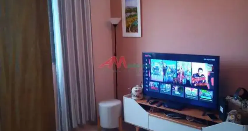 Venda e Locação: Apartamento 2 Dormitórios em Paulicéia