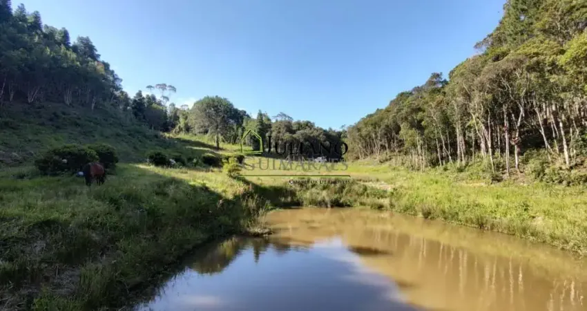 TERRENO Á VENDA - RANCHO QUEIMADO SC