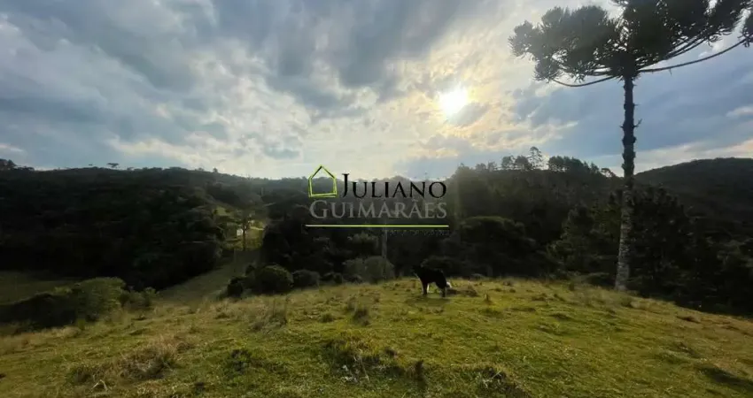 Terreno à venda em Queimada Grande, Rancho Queimado 
