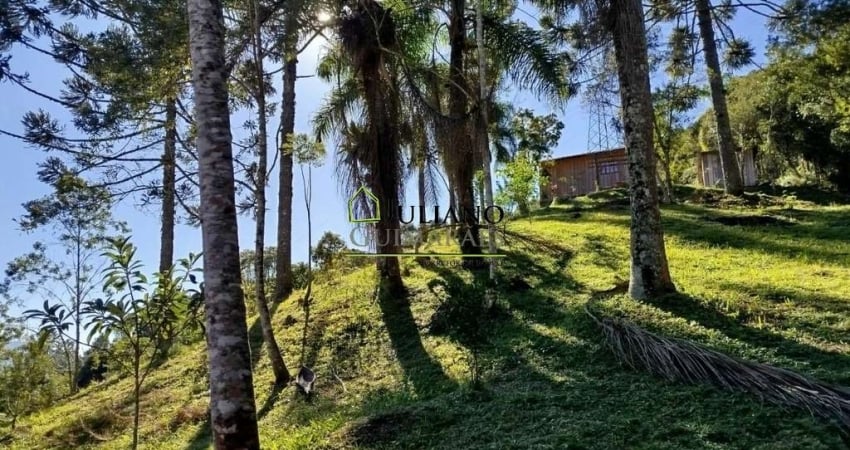 Terreno à venda no Centro, Angelina 