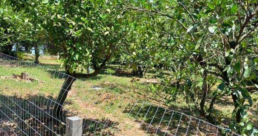 Fazenda à venda na José Antônio Daud, 60, Costa do Ipiranga, Gravataí