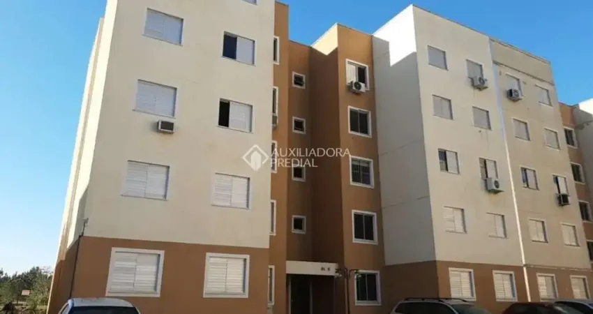 Apartamento com 2 quartos para alugar na Avenida da Federação, 685, Jardim Betânia, Cachoeirinha