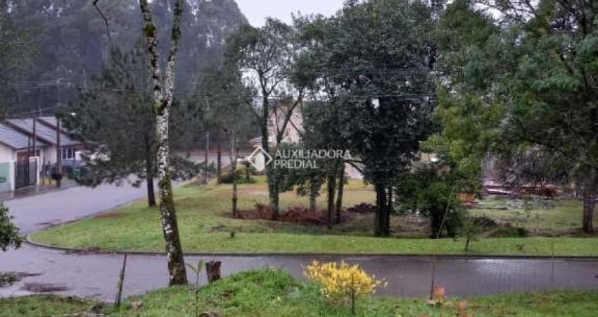 Terreno à venda na Palmeiras, 110, Centro, Gramado