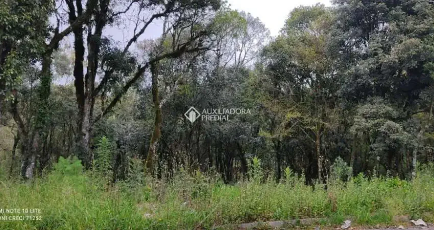 Terreno à venda na Vinicius De Moraes, 1, Vila do Cedro, Canela