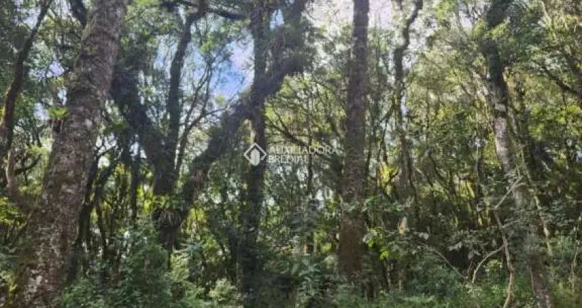 Terreno em condomínio fechado à venda na José Pedro Piva, 880, Bosque Sinoserra, Canela