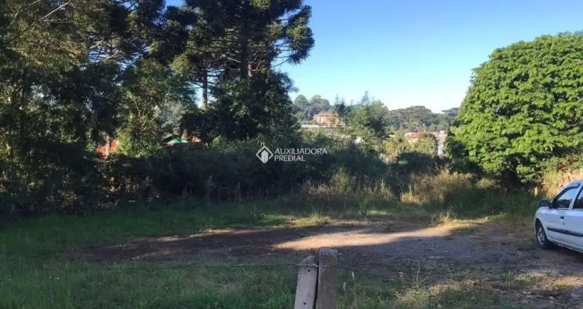 Terreno à venda na Rua Visconde De Mauá, 01, Centro, Canela
