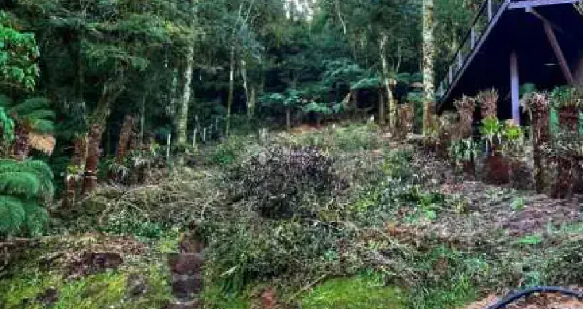 Terreno em condomínio fechado à venda na Das Lebres, 130, Quinta da Serra, Canela