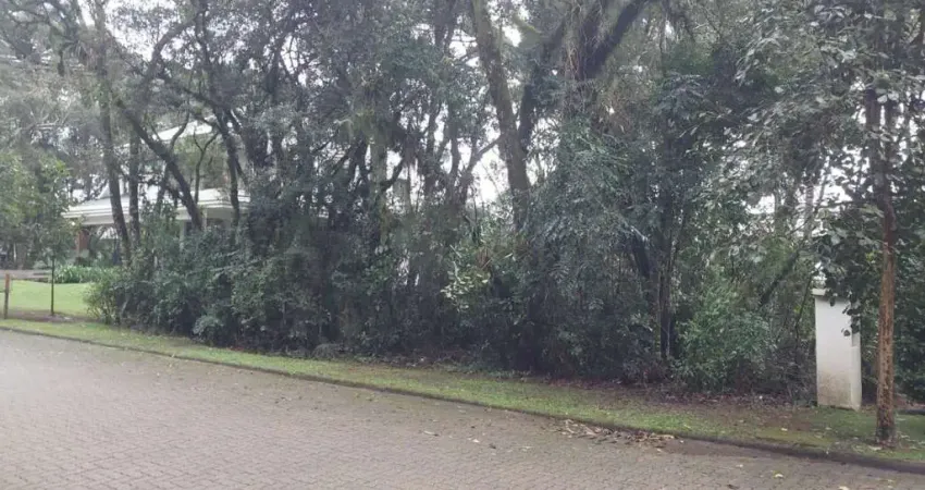 Terreno em condomínio fechado à venda na Das Caneleiras, 22, Reserva da Serra, Canela