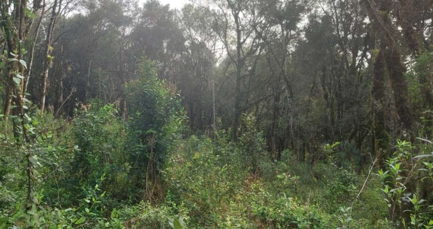 Terreno à venda na Estremosa, 4, Carniel, Gramado