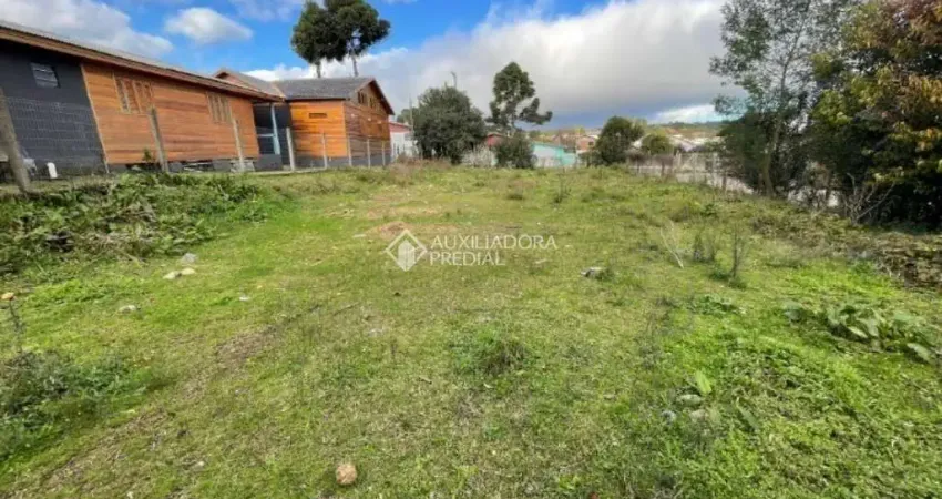 Terreno à venda na dos Farrapos, 21, Vila Dante, Canela