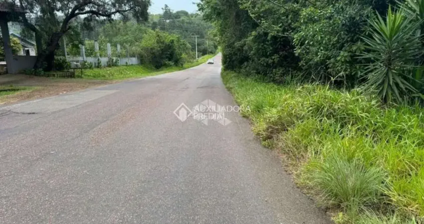 Terreno comercial à venda na Rodovia Assis Brasil, 1959, Cocão, Viamão