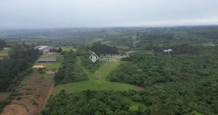 Terreno comercial à venda na Rodovia Assis Brasil, 1959, Cocão, Viamão