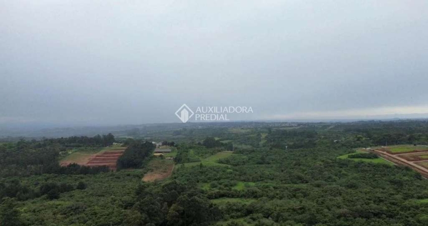 Terreno comercial à venda na Rodovia Assis Brasil, 1959, Cocão, Viamão