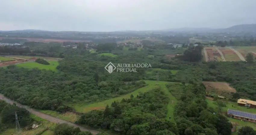 Terreno comercial à venda na Rodovia Assis Brasil, 1959, Cocão, Viamão