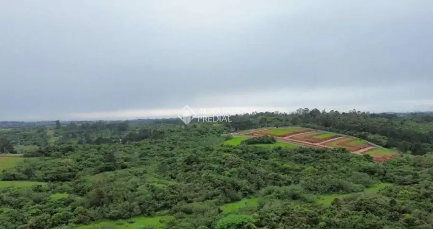 Terreno comercial à venda na Rodovia Assis Brasil, 1959, Cocão, Viamão