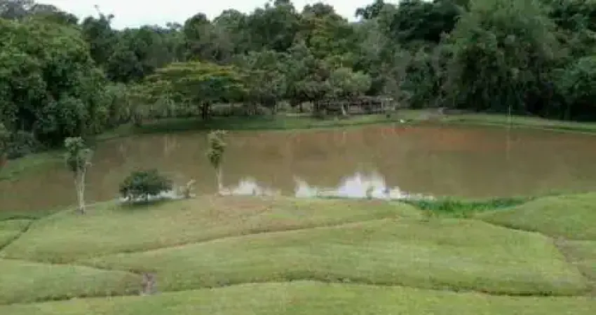 Descubra o Encanto Rural: Chácara dos Sonhos em Cruz do Cedro, Quadra/SP  Seu Refúgio Perfeito na Natureza por Apenas R$ 650 Mil