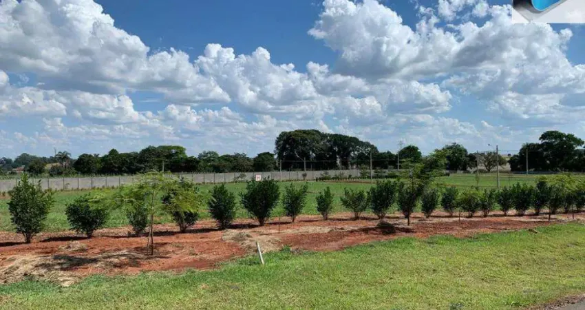 Terreno no condomínio Residencial Village Manacá - Cesário Lange/SP