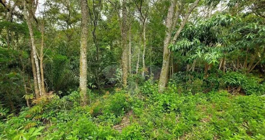 Terreno em condomínio fechado à venda na Grp-010, Siriú, Garopaba