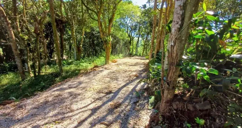 Terreno em condomínio fechado à venda na José Cupertino Albano, 1, Praia da Ferrugem, Garopaba