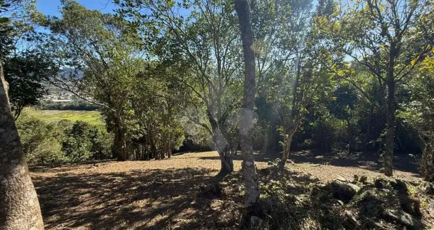 Terreno à venda na Caminho do Rei, 2000, Praia da Silveira, Garopaba