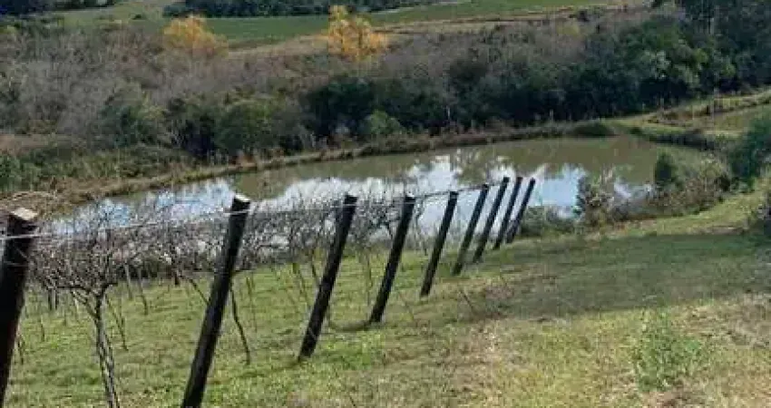 Chácara / sítio com 2 quartos à venda no Centro, Mariana Pimentel 