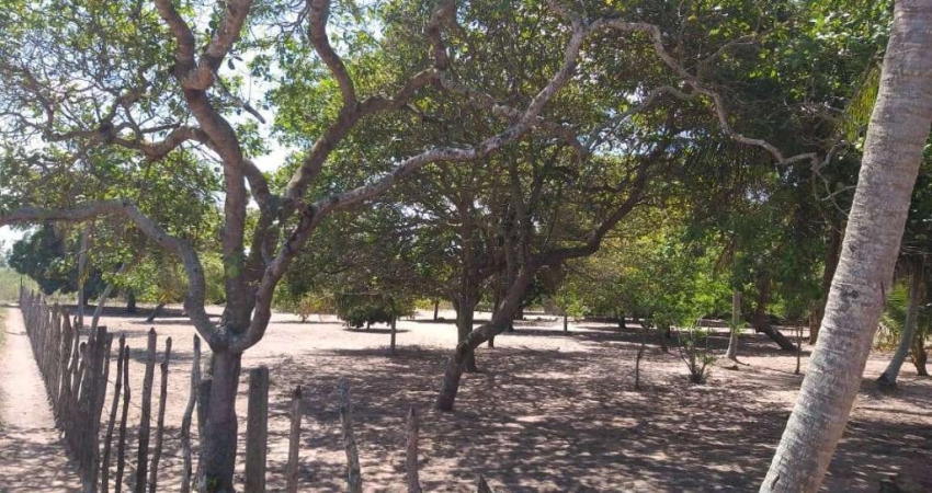 Terreno à venda na Rua Genal Vieira, S/N, Guajiru, São Gonçalo do Amarante